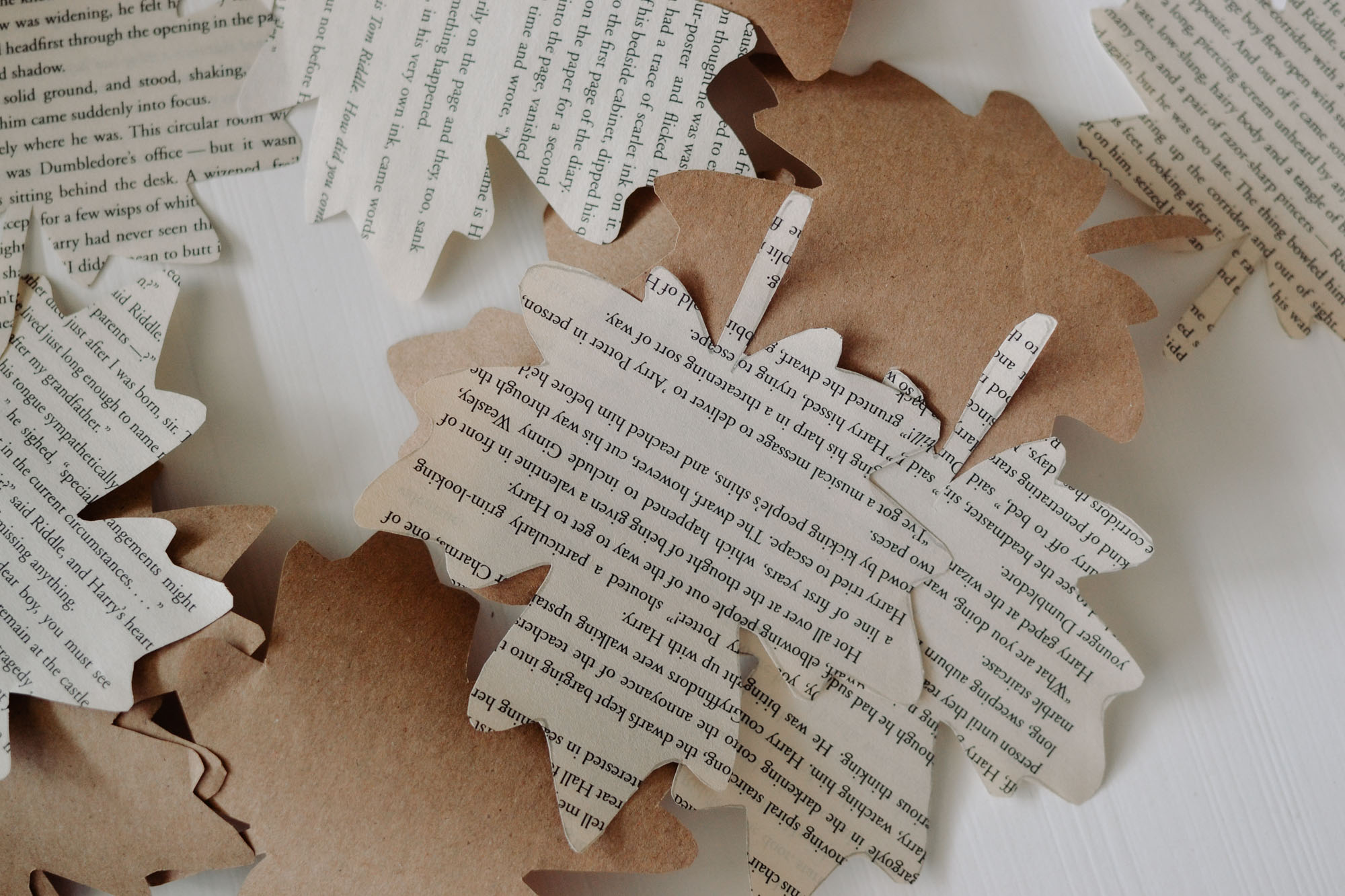 leaves cut out of an old book and brown paper